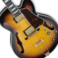 Semi-Hollow Electric