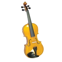 String Instruments