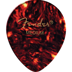 347 Shape, Tortoise Shell, Medium (12)