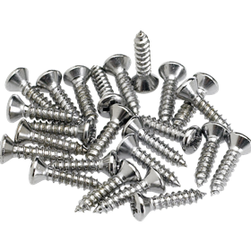 Pickguard/Control Plate Mounting Screws (24) (Chrome)