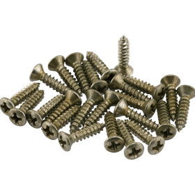 Road Worn® Pickguard/Control Plate Screws (24)