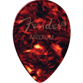 358 Shape, Shell, Medium (72)