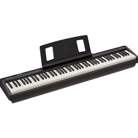 FP-10 Digital Piano