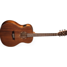 Washburn Woodline 10 Series Acoustic-Electric Guitar Standard