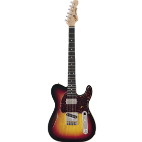 G&L ASAT Classic Bluesboy Semi-hollow *Option Order Model