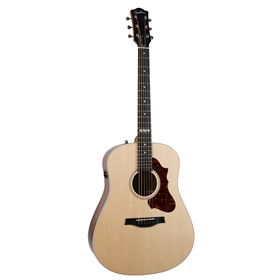 Godin Metropolis Classic QIT w/ Tric Case
