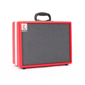 Eden 20W Ukelele Amp