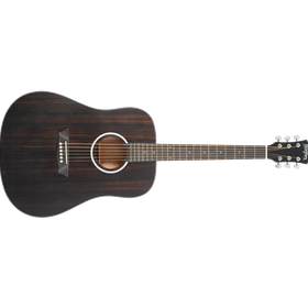 Washburn Deep Forest, Dreadnought Acoustic Guitar
