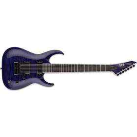 LTD Brian "Sir Headly" Welch Head-7 See Thru Purple
