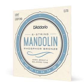 SET MANDOLIN PHOS BRZ LIGHT