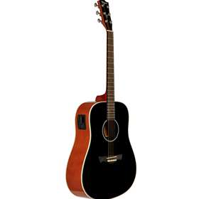 Tagima TW 25 BK Dreadnought