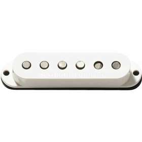 SSL-5T Custom Stag Strat Tapped