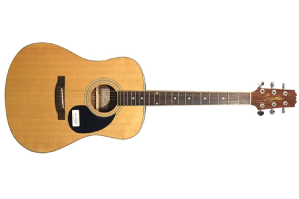 Segovia D07GN Acoustic Guitar, Dreadnought Body with solid top