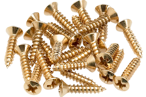 Pickguard/Control Plate Mounting Screws (24) (Gold)