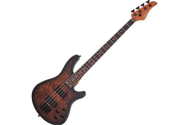 Schecter C-4 Standard Bass, Tobacco Burl