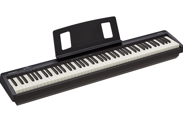 FP-10 Digital Piano