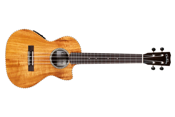 Boogie Beat - Mid-Elementary Level