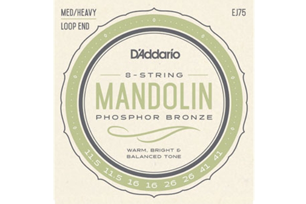 SET MANDOLIN PHOS BRZ MED/HVY