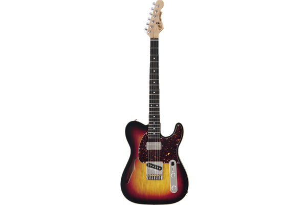 G&L ASAT Classic Bluesboy Semi-hollow *Option Order Model