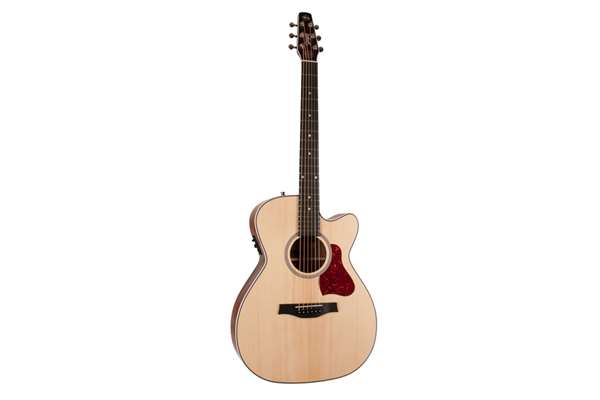 Seagull Maritime CH SWS Cutaway Semi-Gloss QIT