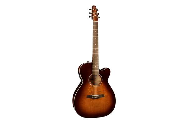 Seagull Performer CW CH Burnt Umber QIT