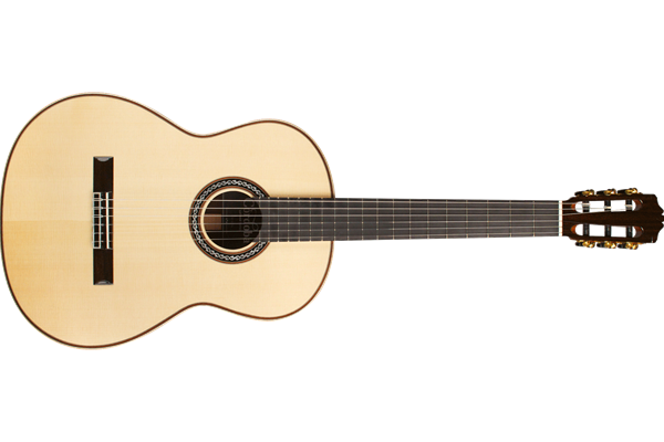 C12 SP