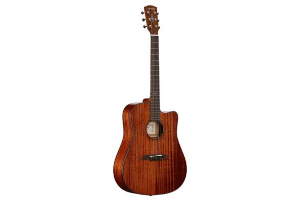 Dreadnought guitar in Natural Gloss with cutaway