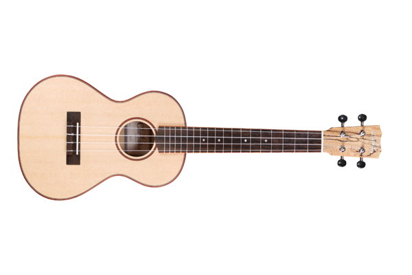 Cordoba 24T Spruce Ukulele