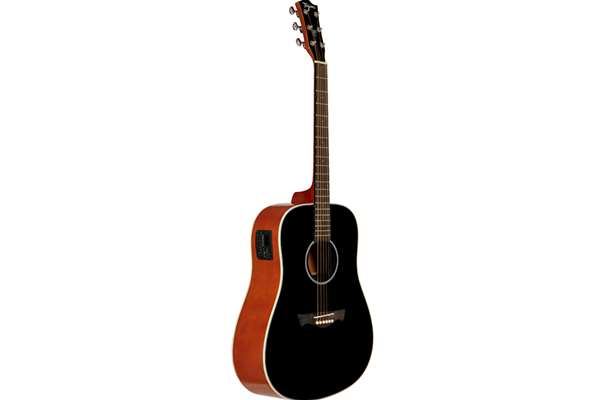 Tagima TW 25 BK Dreadnought