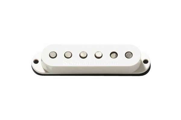 SSL-5T Custom Stag Strat Tapped