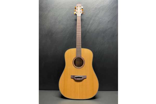 Takamine FN15-AR Solid Cedar Dreadnought Acoustic / Electric Guitar With Case, Gloss Natural